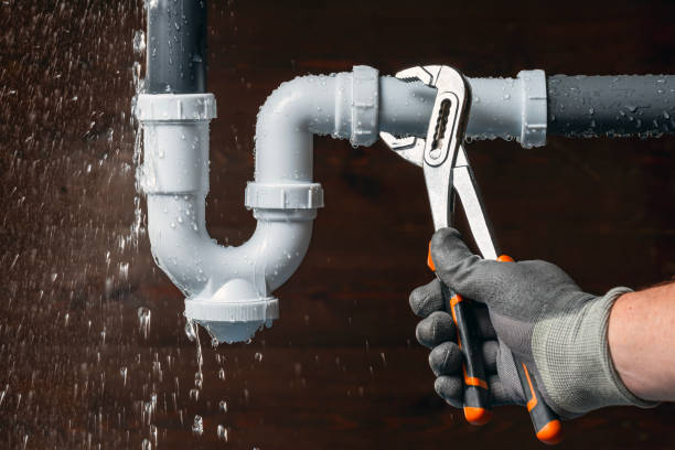Professional Plumbing technician working in Malone, WI